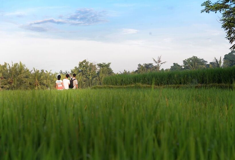 ホテル Purana Boutique Resort