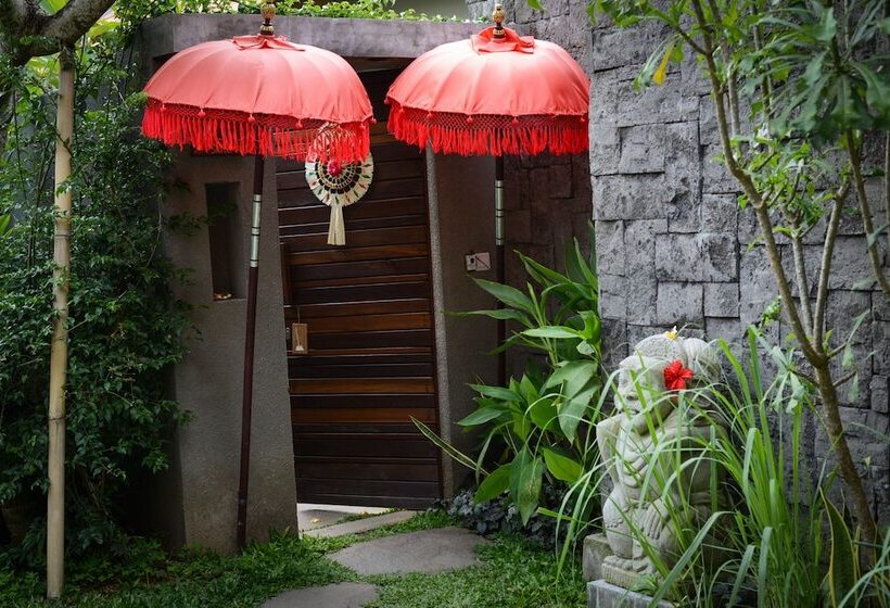 ホテル Purana Boutique Resort