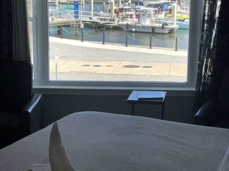 モーテル Historic Waterfront Marion Motor Lodge In Downtown St Augustine