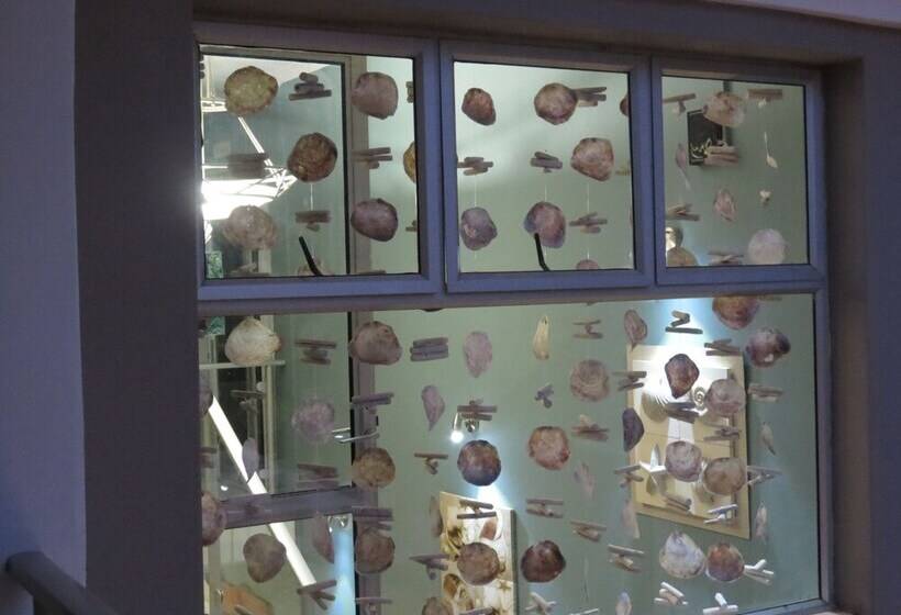 膳宿费 Club Cocomo