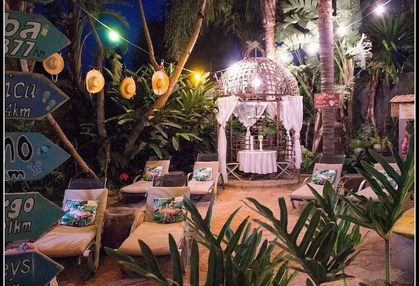 پانسیون Club Cocomo