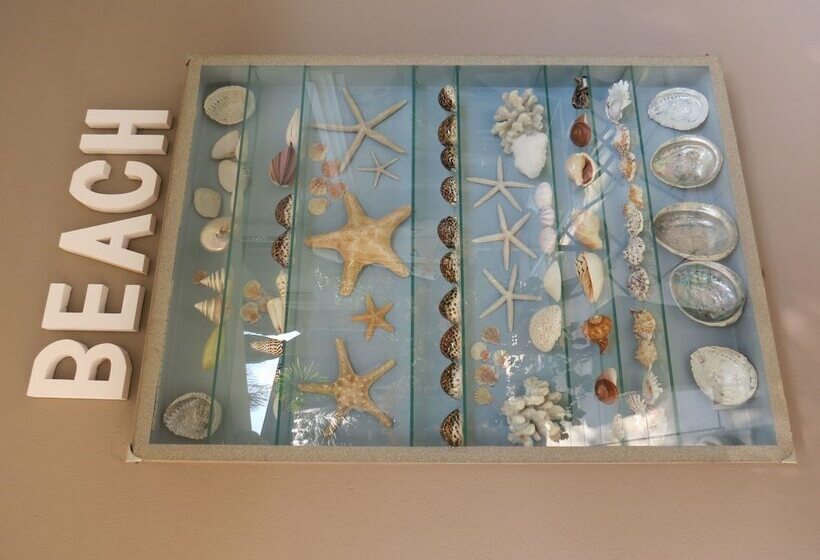 膳宿费 Club Cocomo