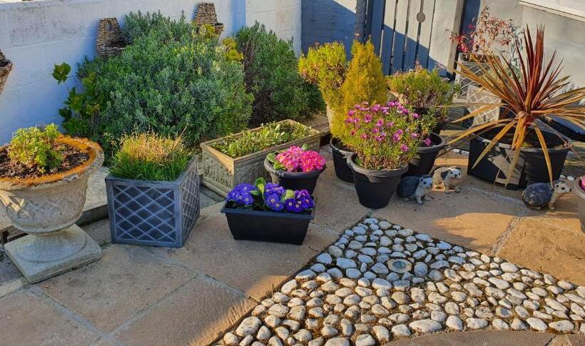 Пансион The Aldor