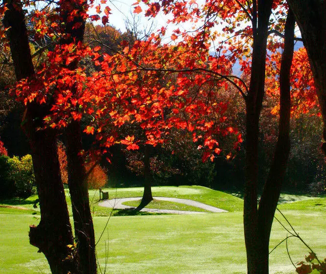 Peppertree Maggie Valley