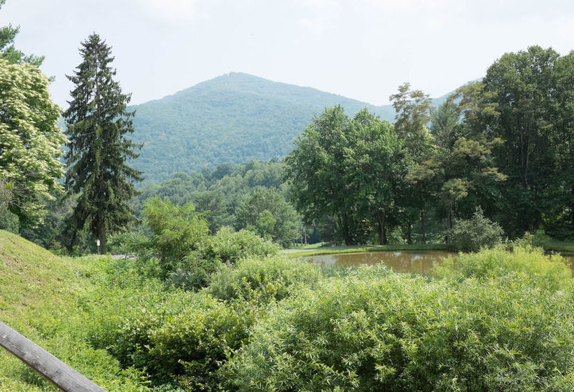 Peppertree Maggie Valley