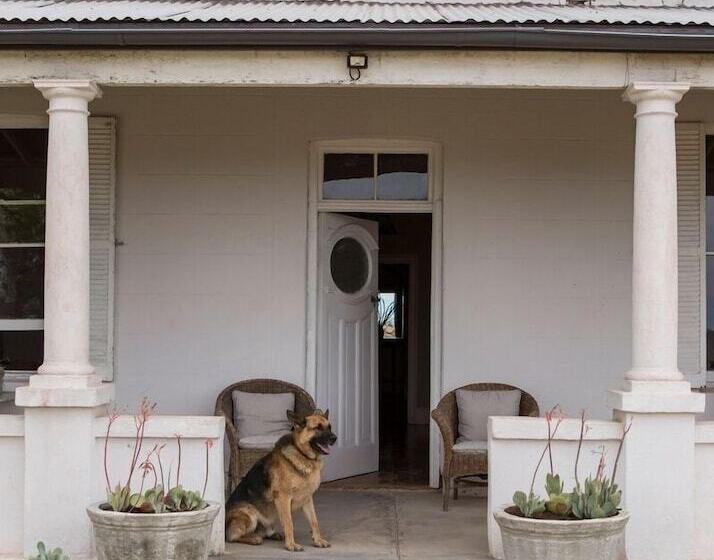 Sneeuberg Nature Reserve