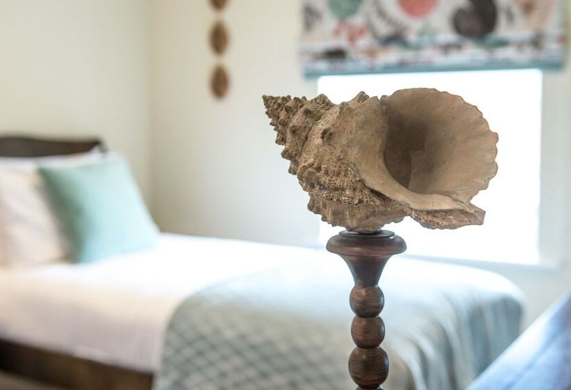 مبيت وإفطار Darwins Townhouse