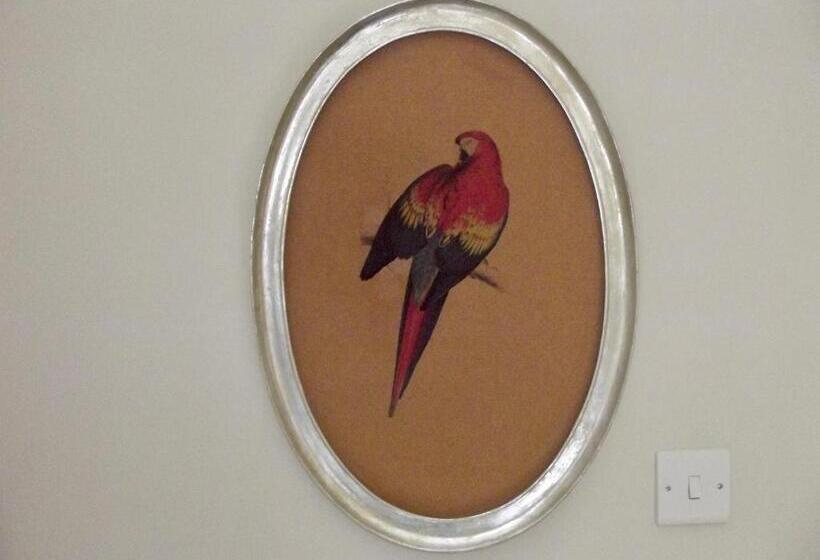 مبيت وإفطار Darwins Townhouse