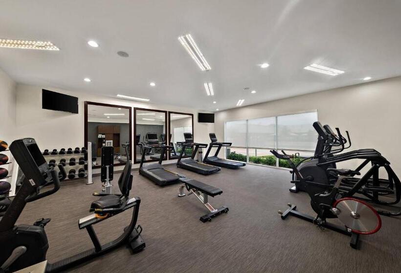 فندق Four Points By Sheraton Plano