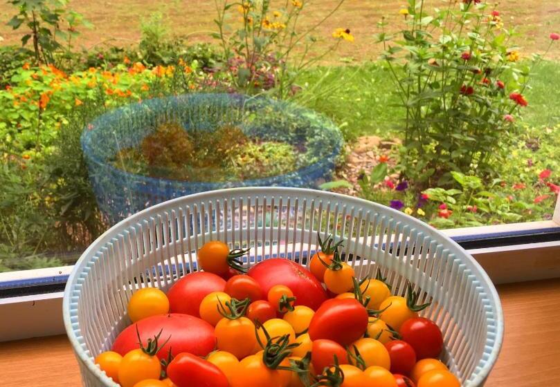 Obihiro Yachiyo Youth Hostel