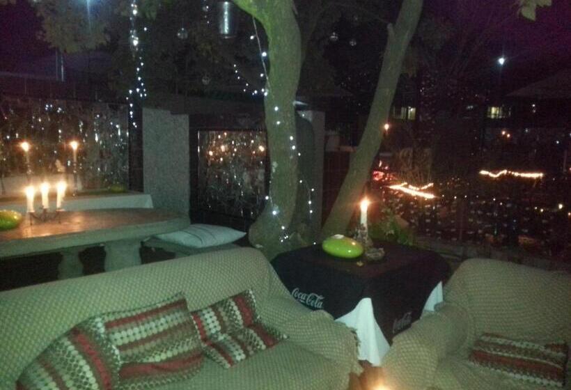 Пансион 44 On Ennis Guest Lodge And Restaurant   No Load Sheddding