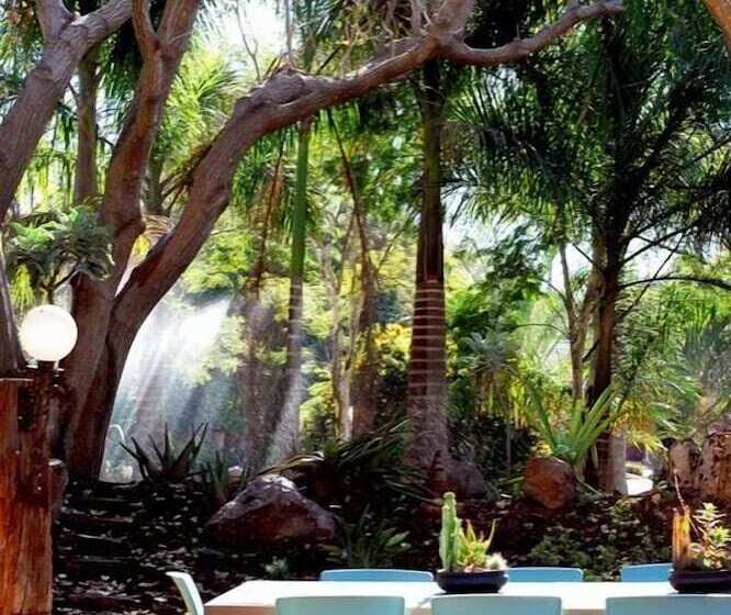 פנסיון Barnstormers Rest