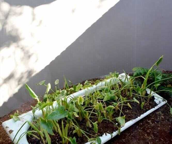 פנסיון Barnstormers Rest