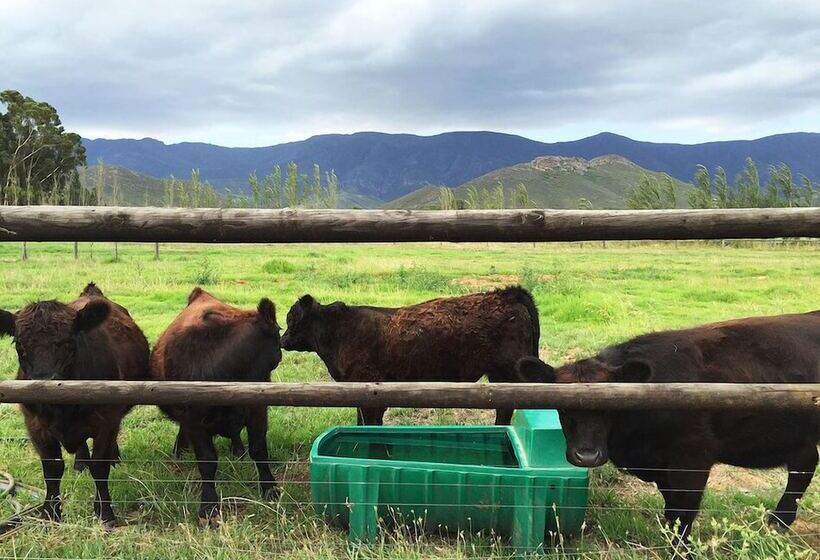 بنسيون Galloway Guest House