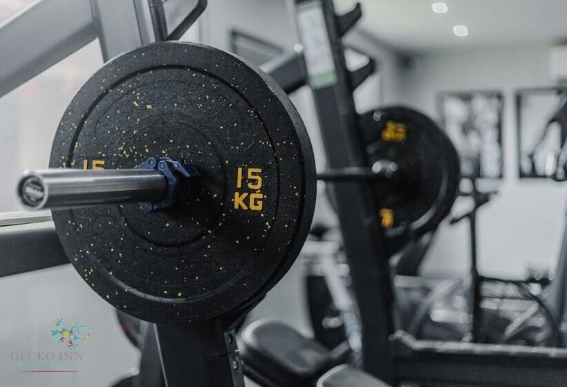 פנסיון Gecko Inn