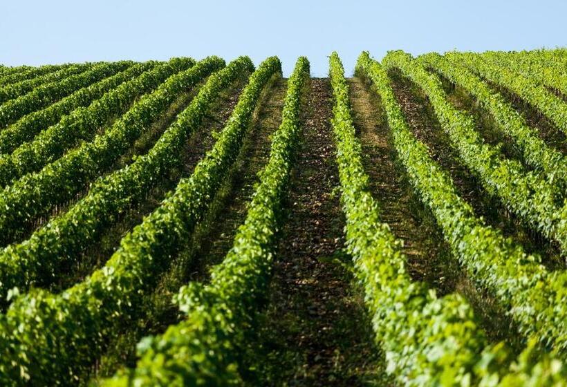 Querceto Di Castellina