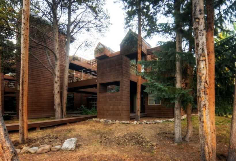 River Glen Condos By Crmr