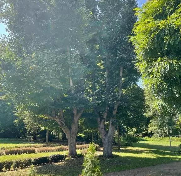 ベッドアンドブレックファースト Internat Schloss Spiegelberg