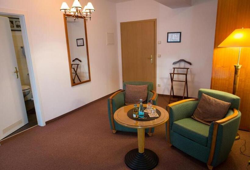 Aamiaismajoitus (B&B) Internat Schloss Spiegelberg