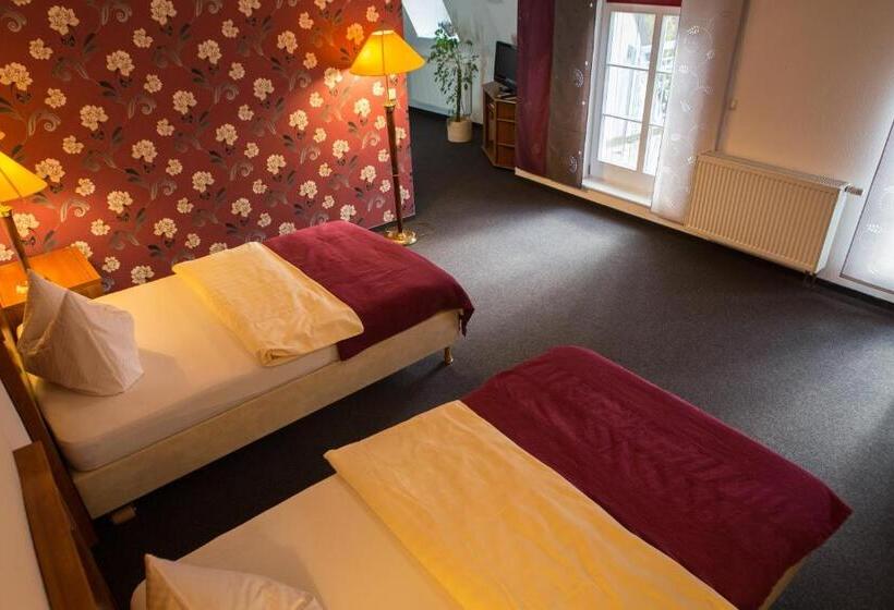 Aamiaismajoitus (B&B) Internat Schloss Spiegelberg