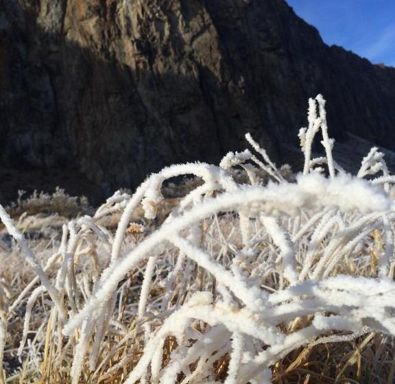 ホテル Hosteria Vertical Lodge
