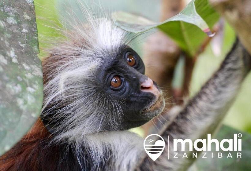 فندق Mahali Zanzibar