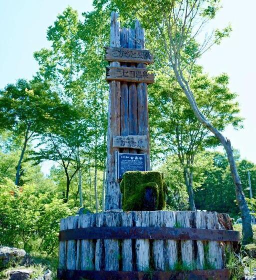 בית מלון כפרי Niseko Grand