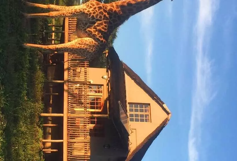 هتل Ukuthula Lodge