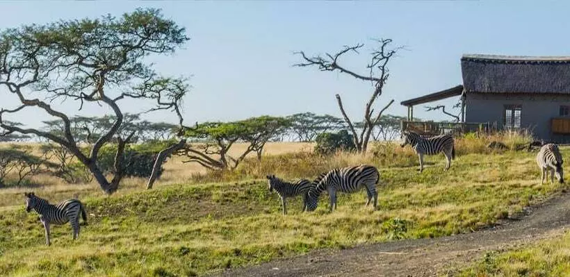 هتل Ukuthula Lodge