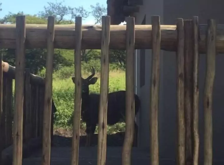 هتل Ukuthula Lodge