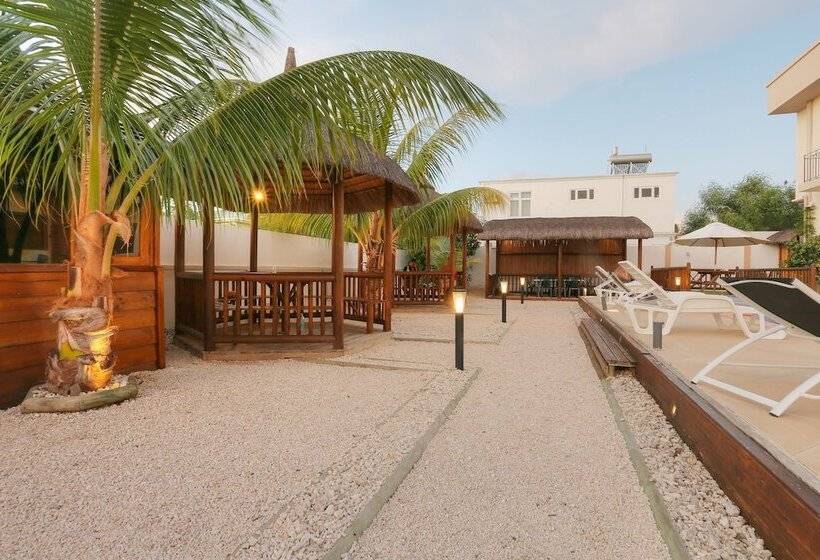 L'oiseau De L'océan