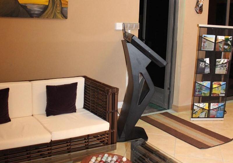 L'oiseau De L'océan