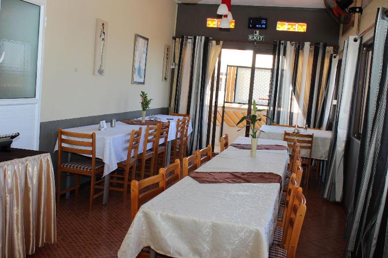 L'oiseau De L'océan