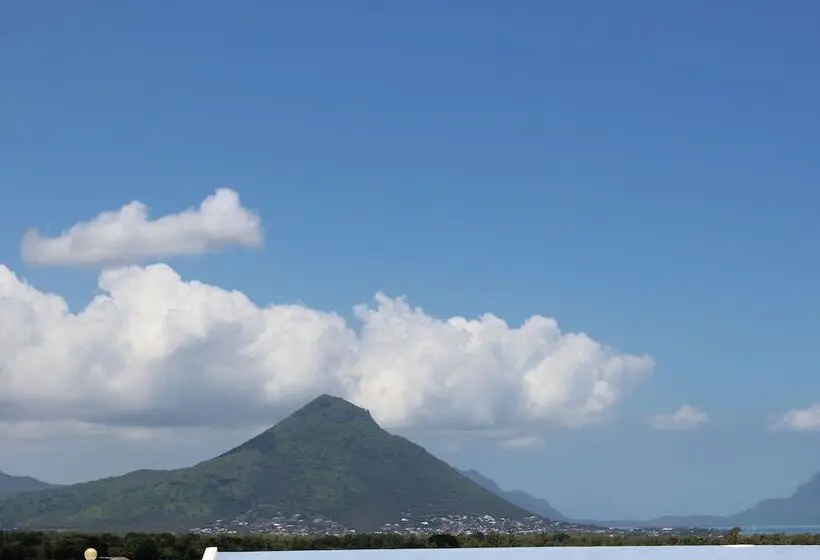 L'oiseau De L'océan