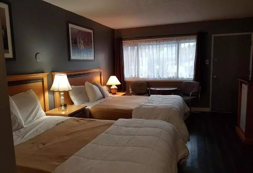 مُتل Metro Inn