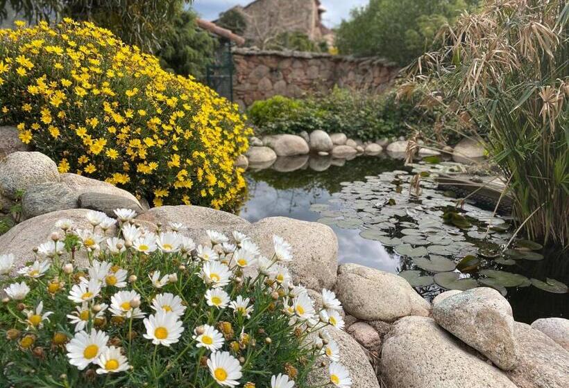 بنسيون Domaine De Piscia