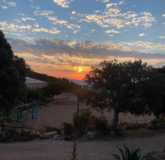 بنسيون Domaine De Piscia