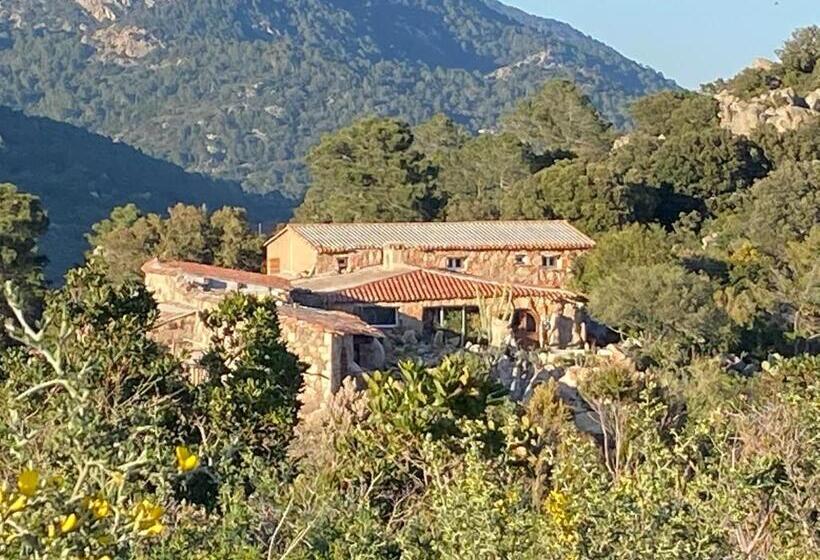 بنسيون Domaine De Piscia