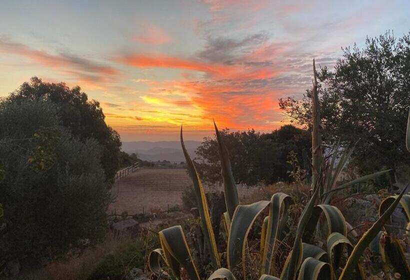 بنسيون Domaine De Piscia