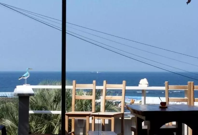 ペンション Jeju Doldam B&b