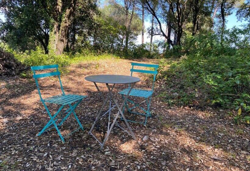 ベッドアンドブレックファースト Chambres D'hôtes La Bastide St Julien