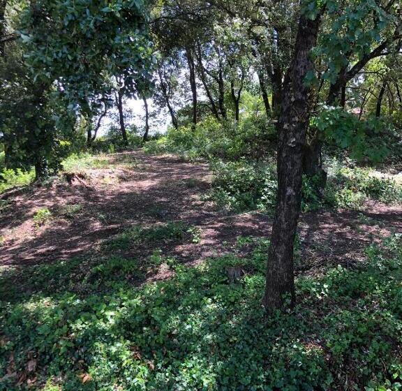 ベッドアンドブレックファースト Chambres D'hôtes La Bastide St Julien