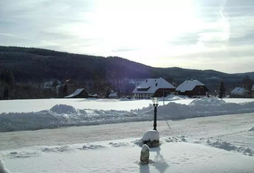 Aamiaismajoitus (B&B) Rheingold Garni