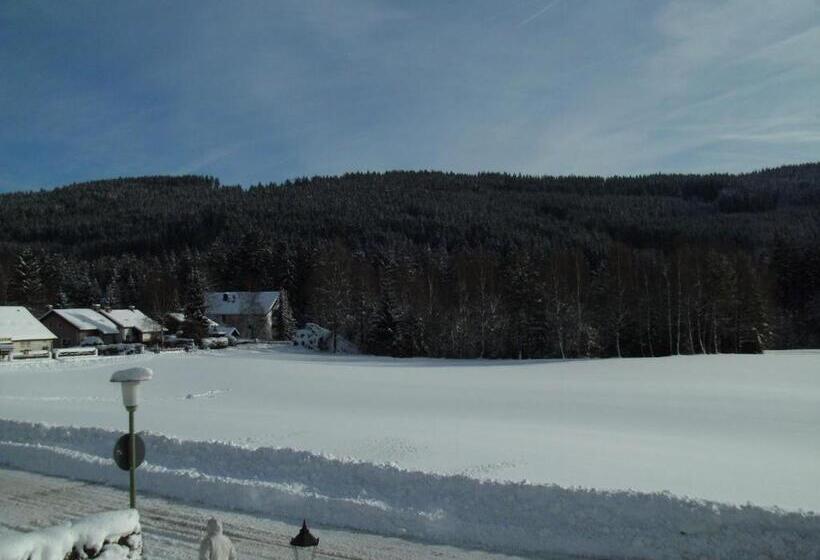 Bed and Breakfast Rheingold Garni