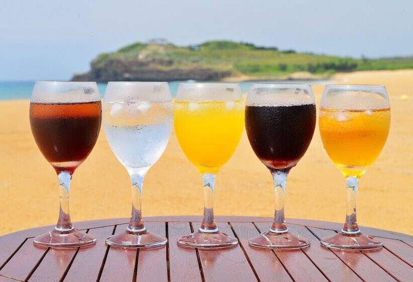 تختخواب و صبحانه Beachcastle & Sea View Villa