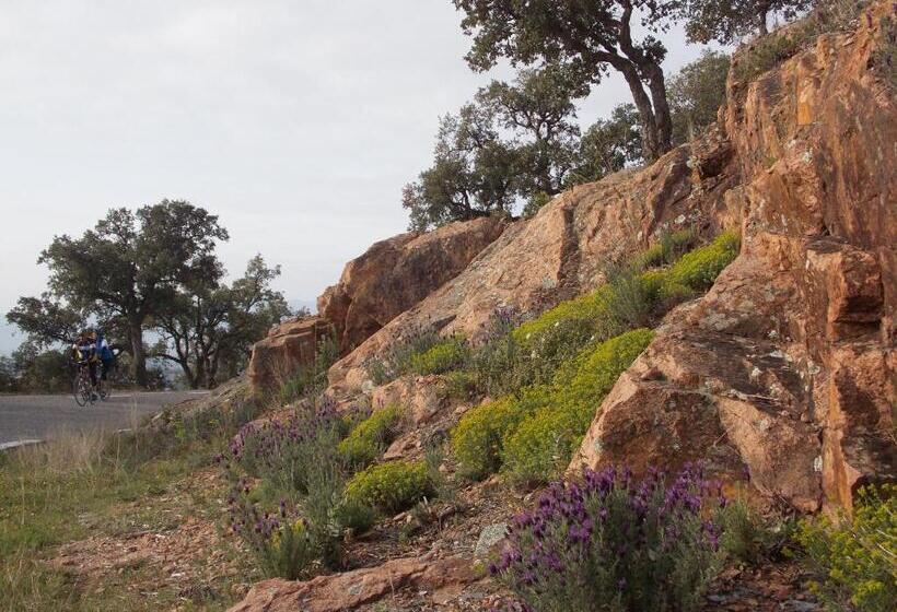 ホテル Au Relais Provencal