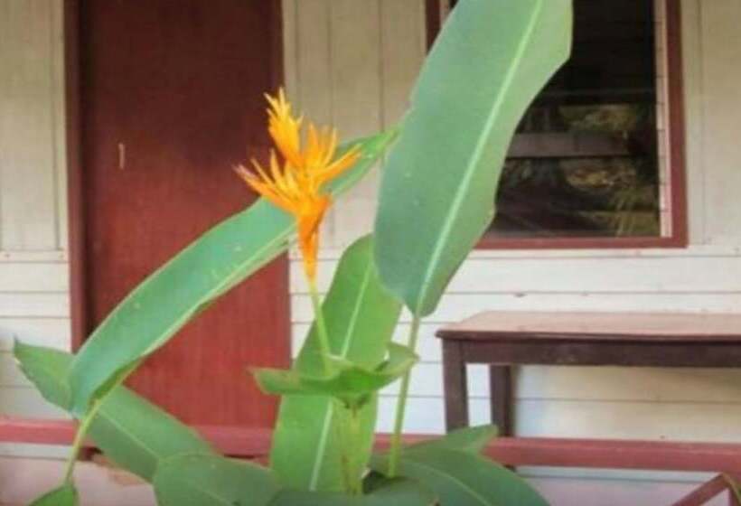 فندق Jinda Resort