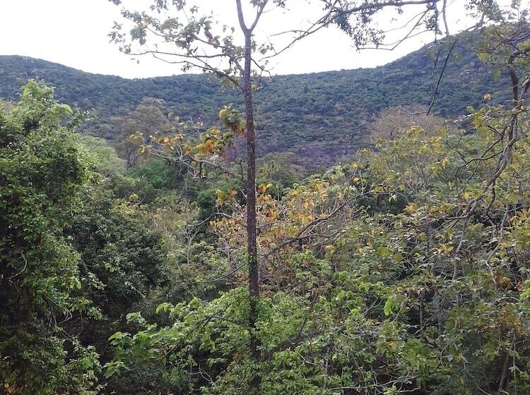 بنسيون Elephant Safari Lodge Sigiriya Junction