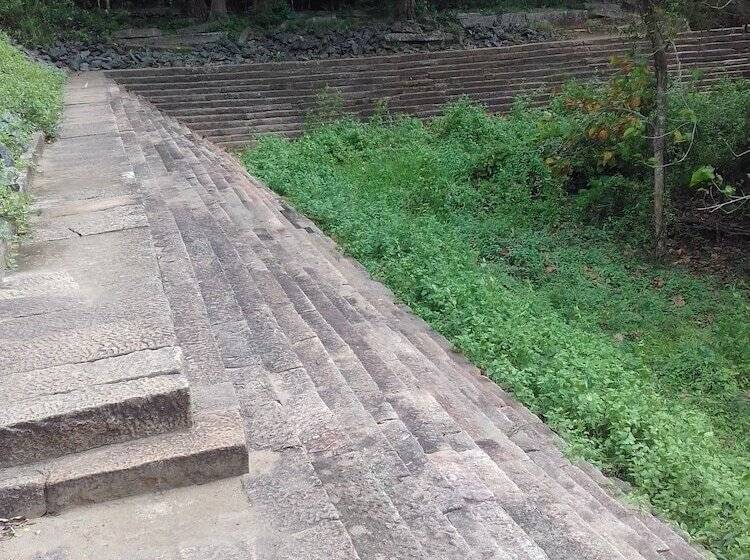 بنسيون Elephant Safari Lodge Sigiriya Junction