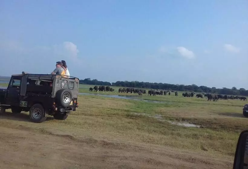 Majatalo Elephant Safari Lodge Sigiriya Junction